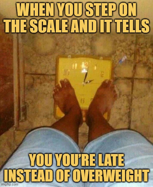 When you step on the scale and it tells.