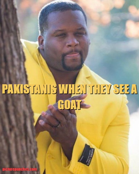 Pakistan is zoophile