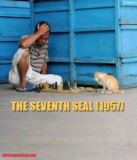 new cover for the film meme