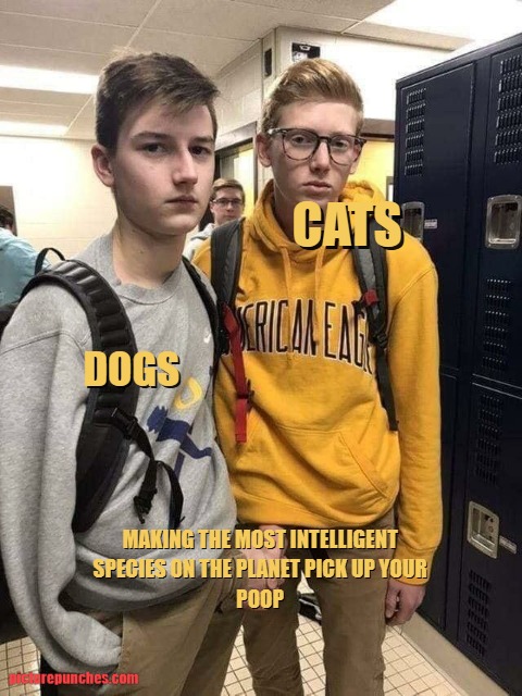 These humans are dumb