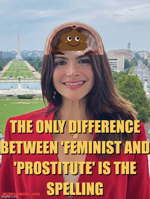 both are bitches meme