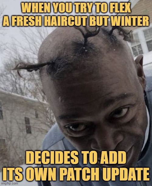 When you try to flex a fresh haircut but winter. meme