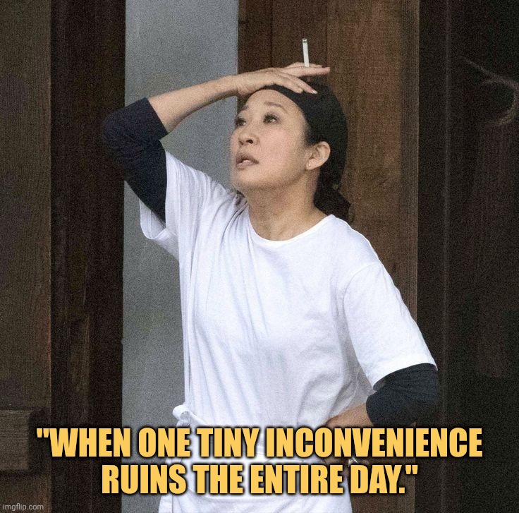 my day is ruined meme
