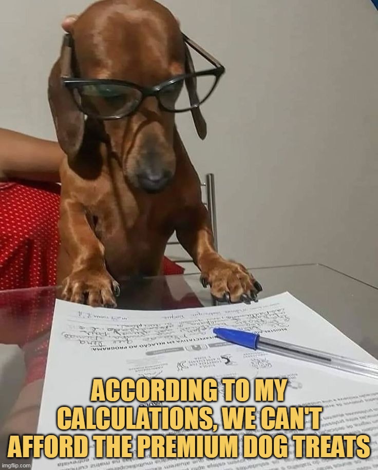 He is a dog teacher
