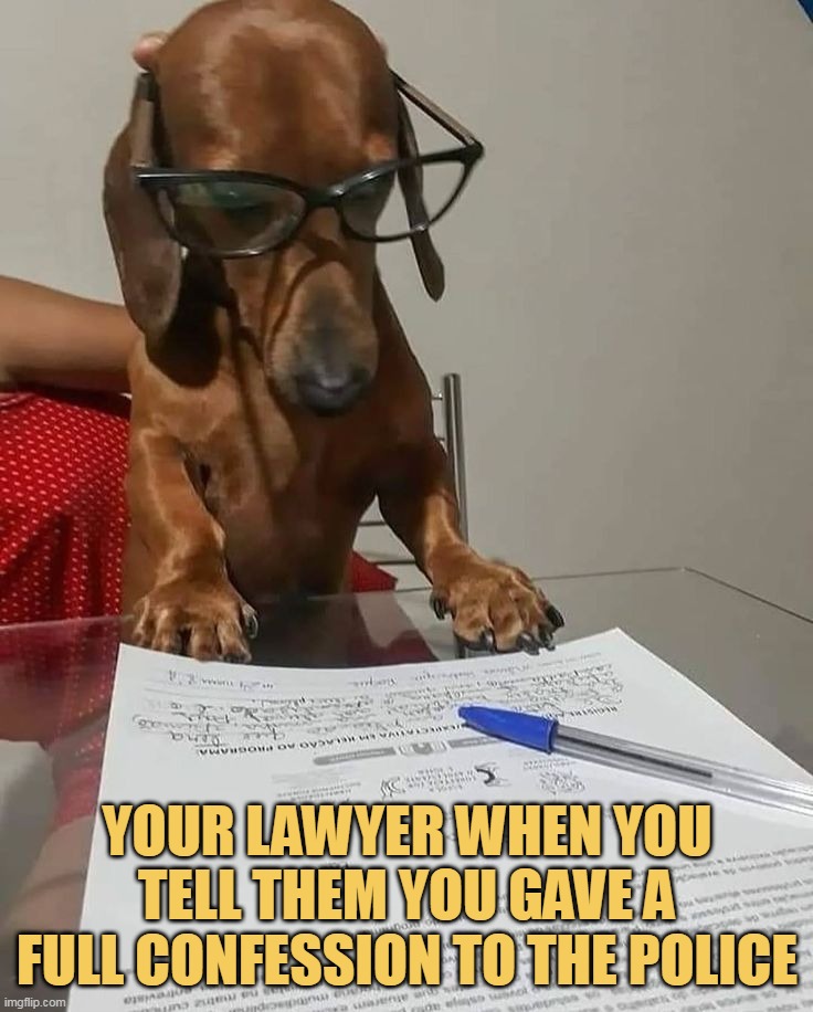 Lawyer is so confuse now