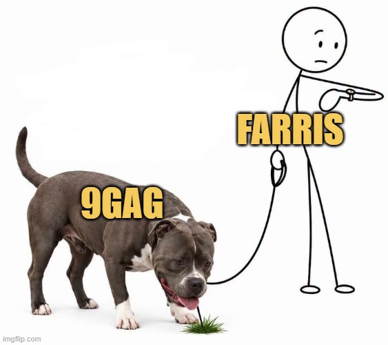memes of the year : ) meme