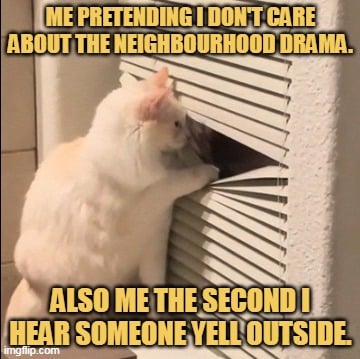 can't resist myself meme