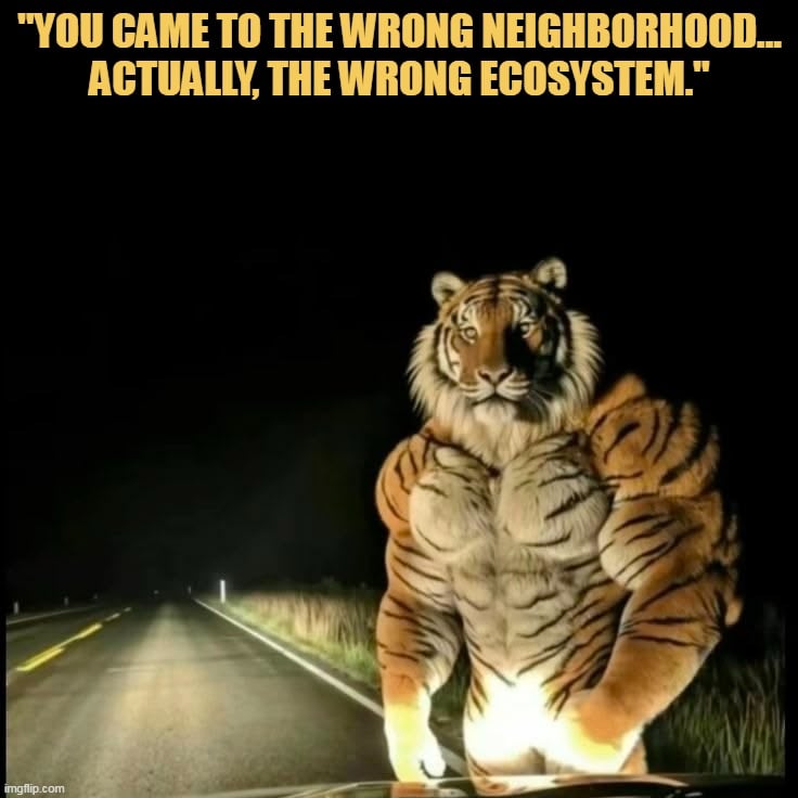 you need to go to the amazon ecosystem meme