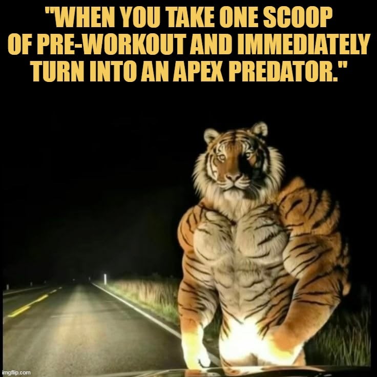 pre workout meal turns out so powerful meme