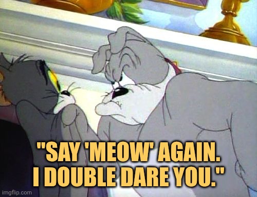 say meow and iwill dare you meme
