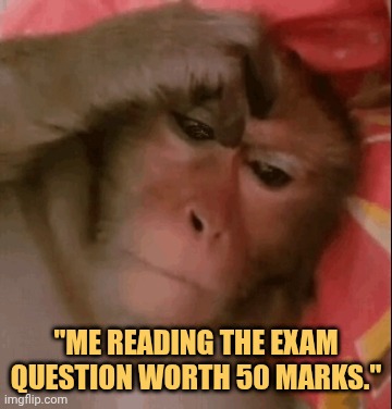 i can't do that exam meme