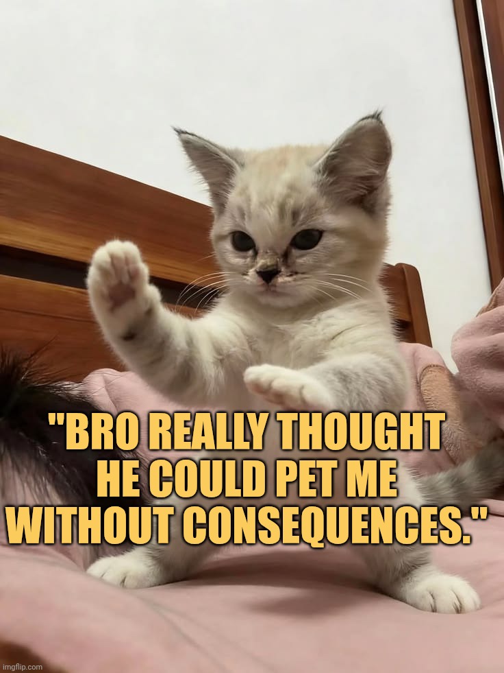 bro really thought he can touch me meme