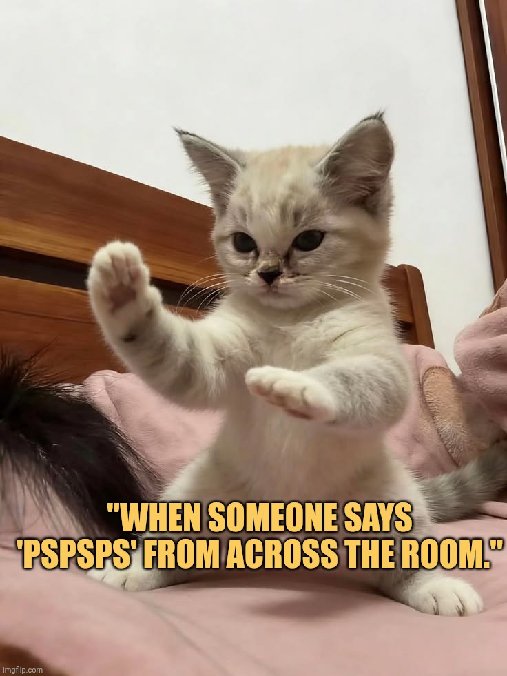 Pls nobody got near me
