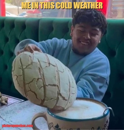 chill life meme
