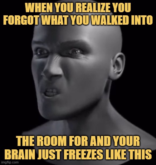 When you realize you forgot what you walked into.jfi meme