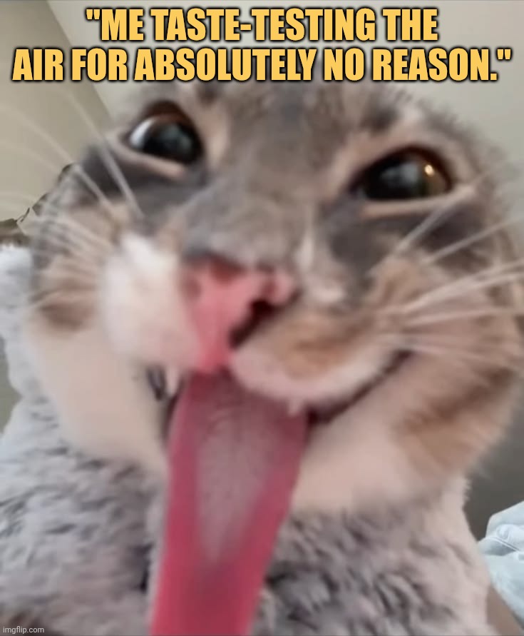 air taste fine though meme