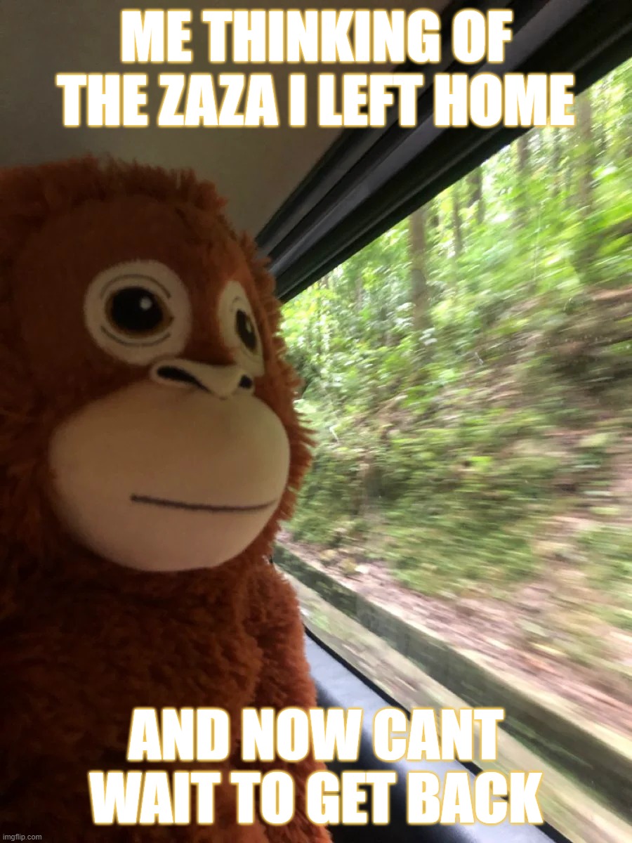 irl meme