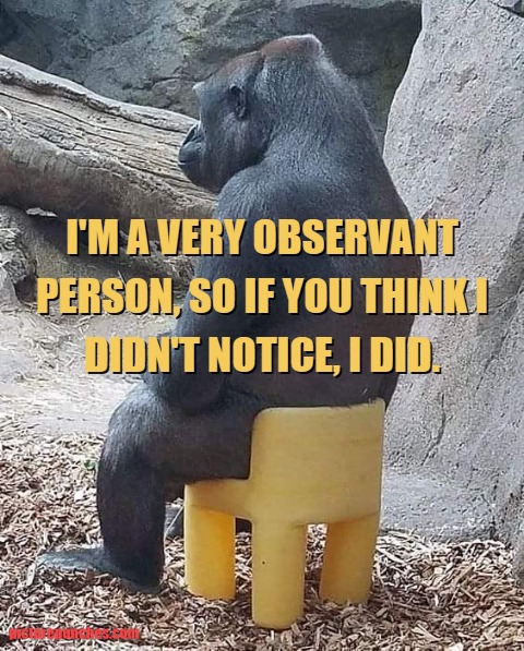 i noticed meme