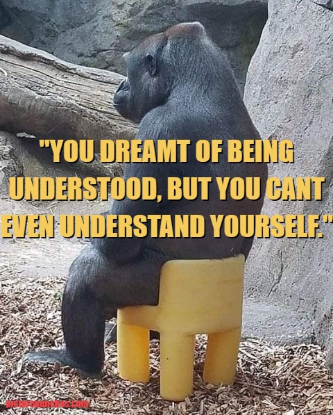 understanding meme