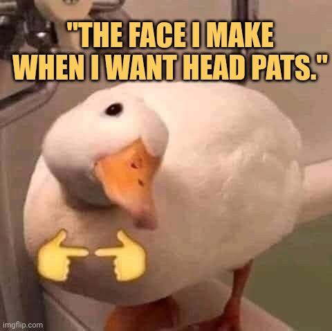im kind of manipulating meme