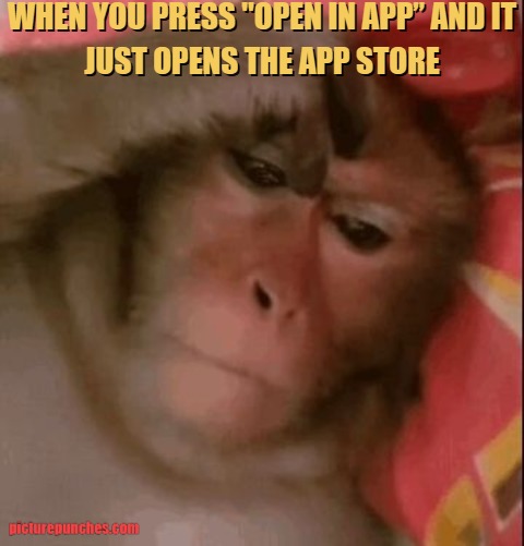 app store meme
