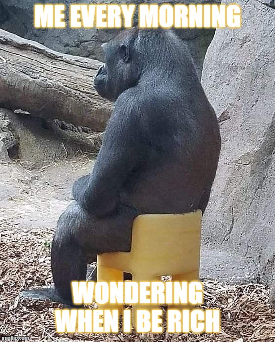 lifee meme