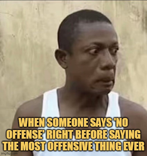they are very fool meme