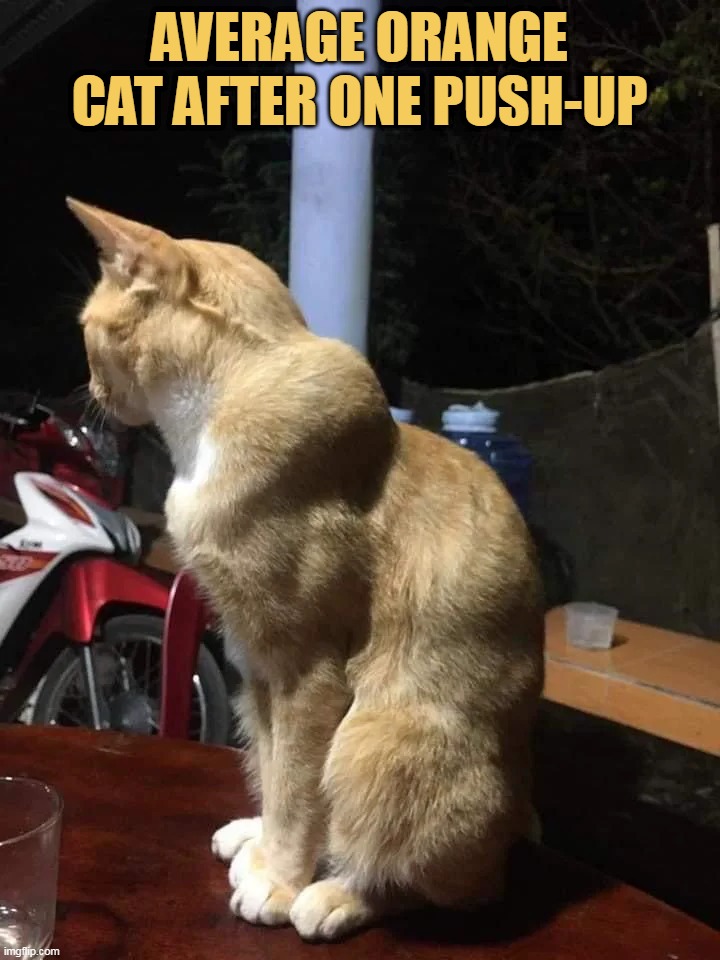 after one push up? meme