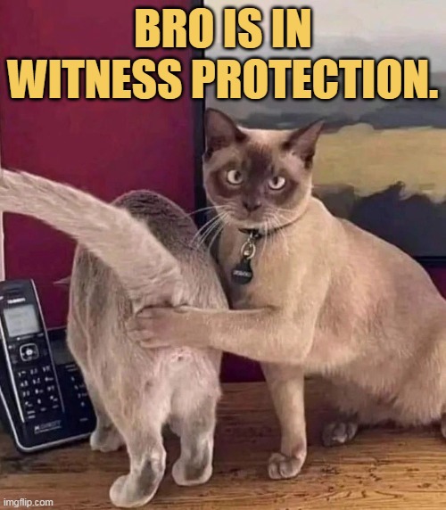 Bro is protecting....
