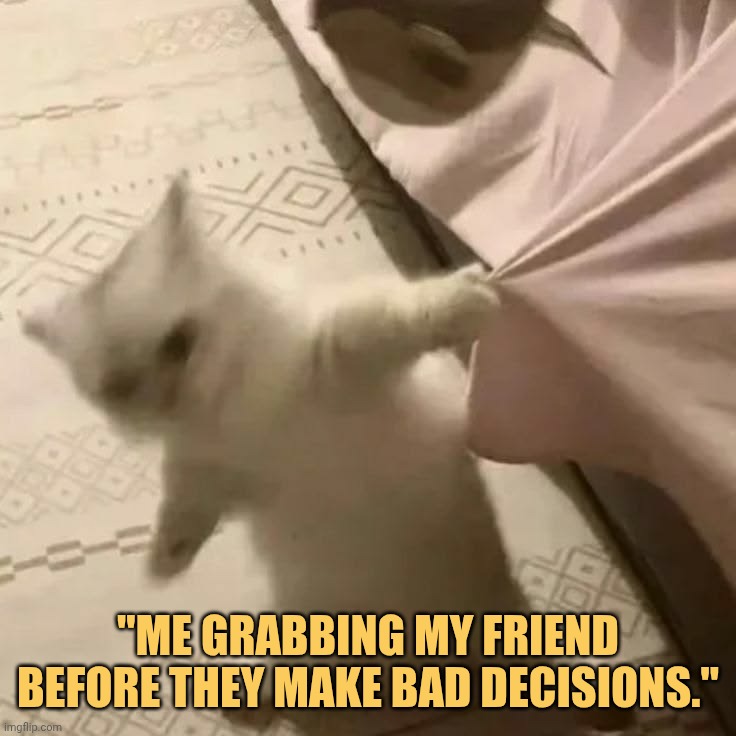 i trying my best to my frnd prevent bad job meme