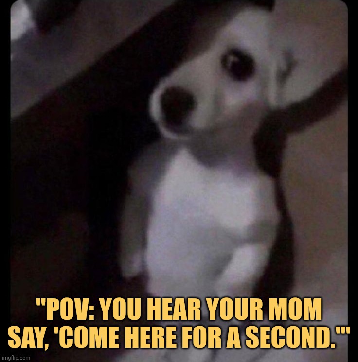 What did i do mom