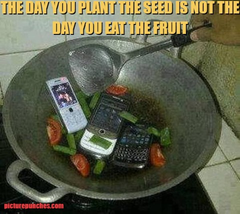 The day you plant the seed