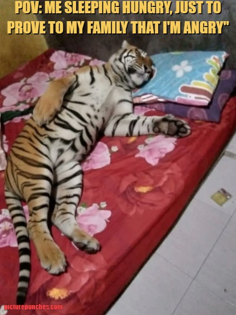 Sleeping hungry