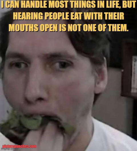 people who eat mouth open