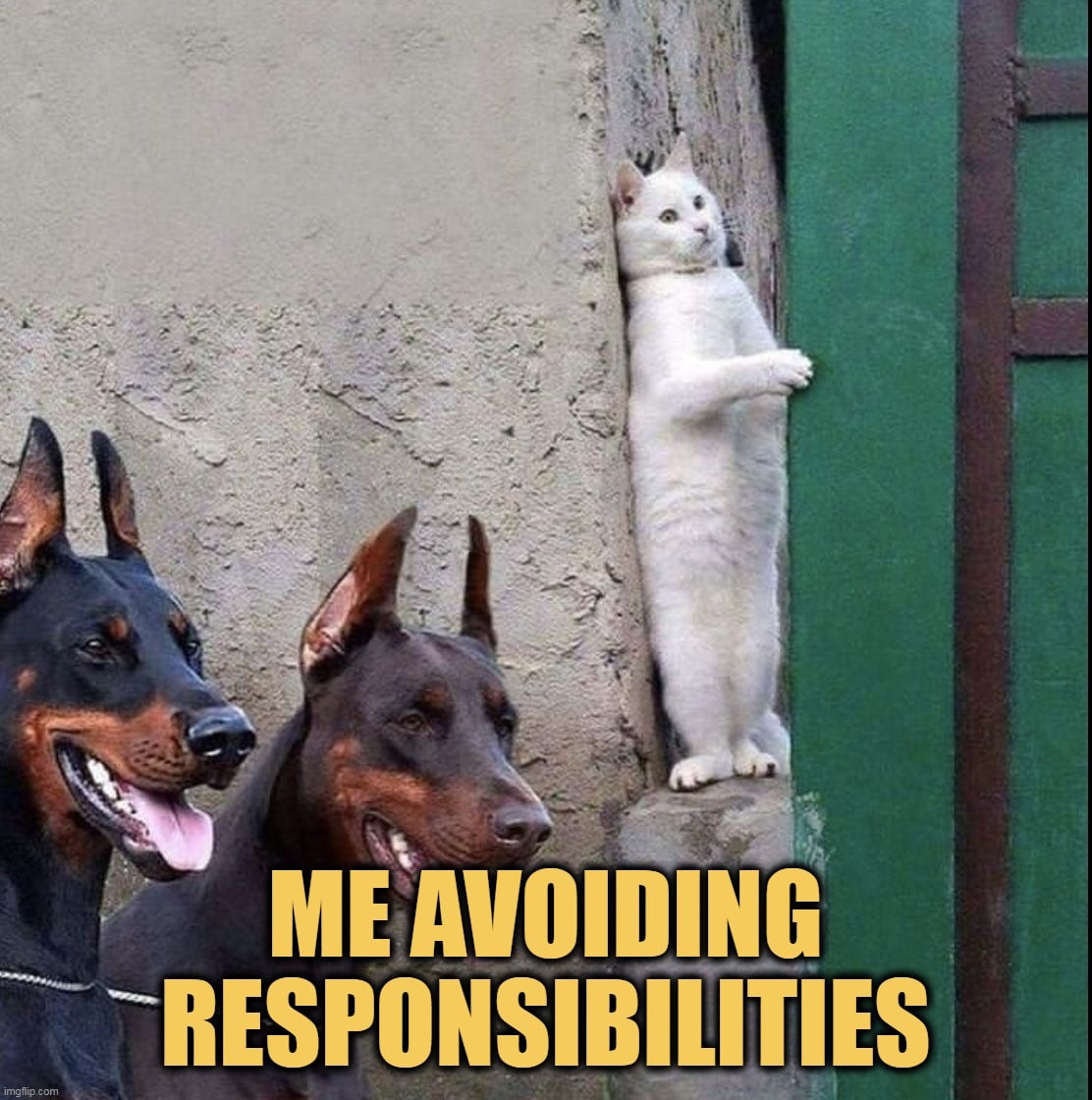 I hate responsibility