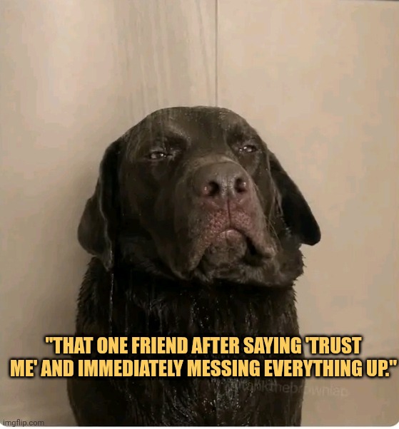 my friend cheated on me meme