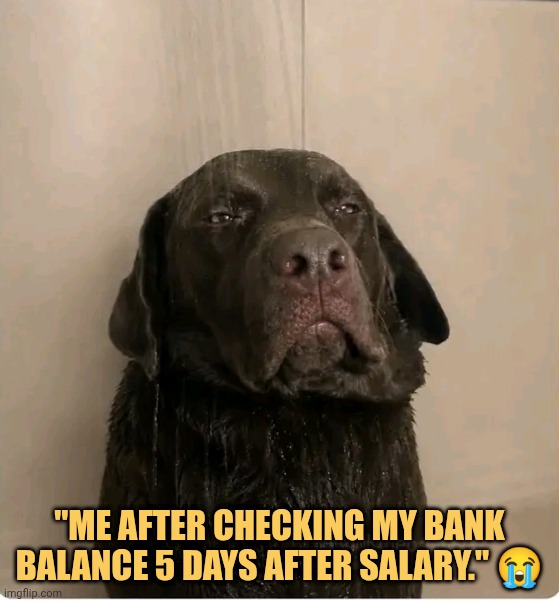 Where did all my money go