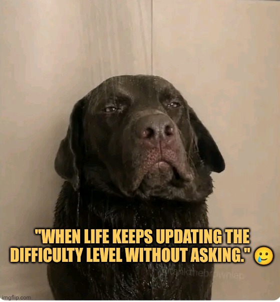life keeps getting troubling meme