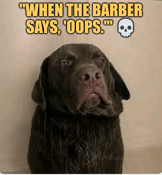 barber fucked my bair meme