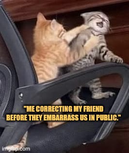 me correcting my friend by giving kick meme