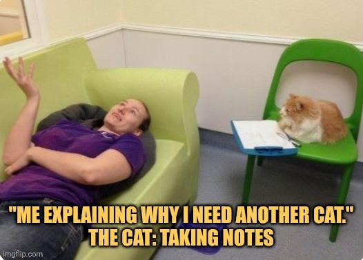 trying to explain to my cat meme