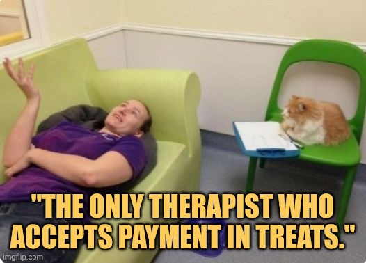 The pnly therapist who accpect treats than money