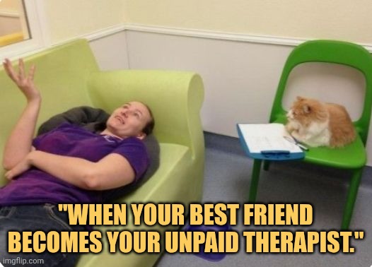my cat is my best friend meme