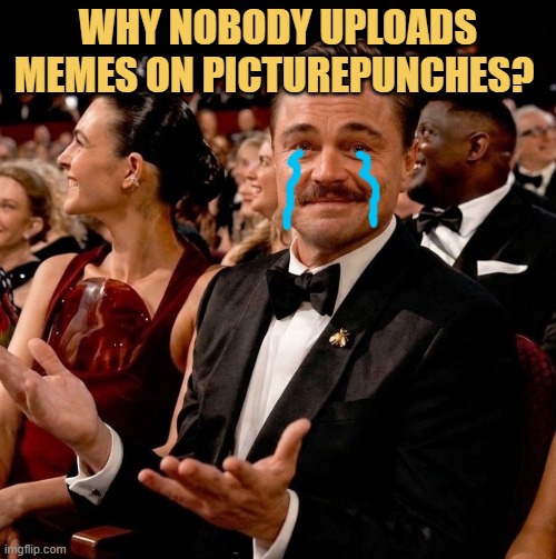 What is the reason? meme