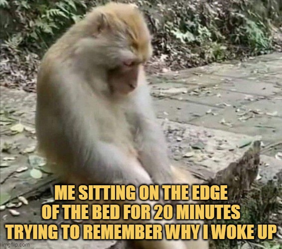 Why I woke up?