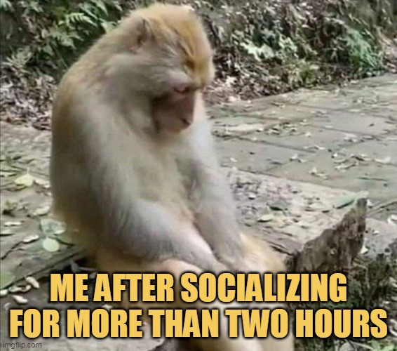 Because I do not like socializing