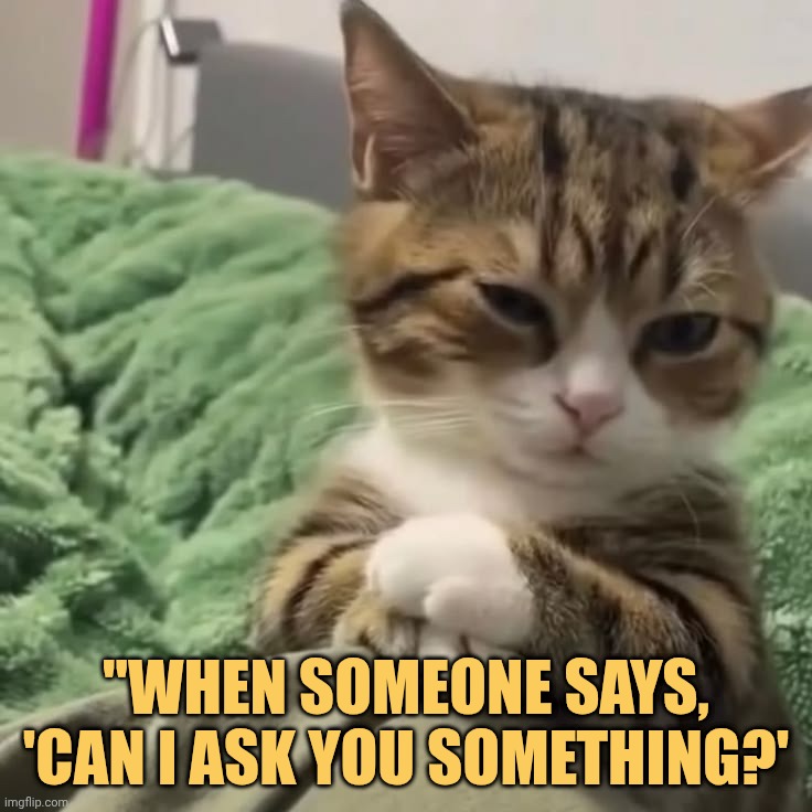 no you can't meme