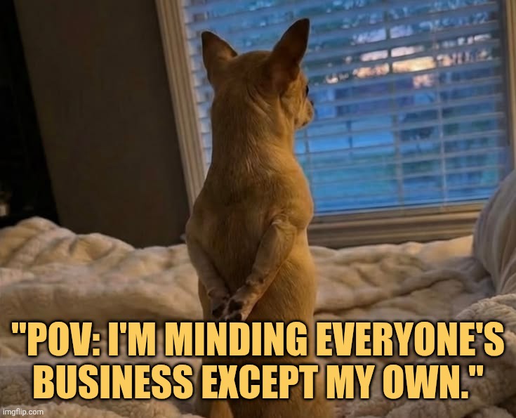 Im minding everyone business except me