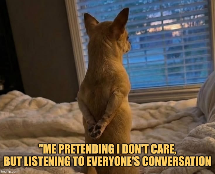 Pretending not to care anything
