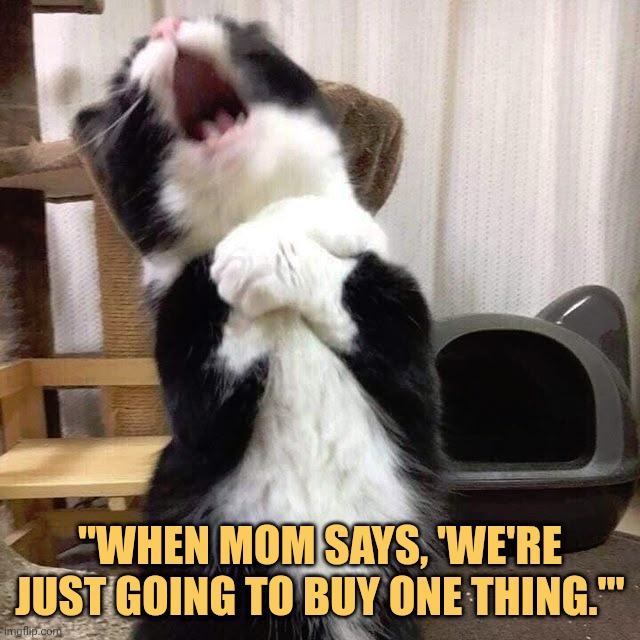 No mom please no it can't be